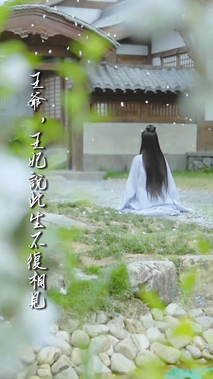 王爺，王妃說此生不復相見(全集)