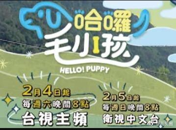 哈啰！毛小孩(全集)