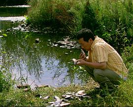 來福，來福(全集)