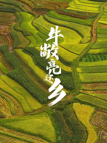 牛敞亮還鄉(xiāng)(全集)