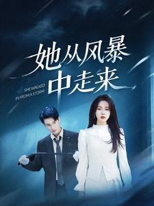 她從風(fēng)暴中走來(lái)(全集)