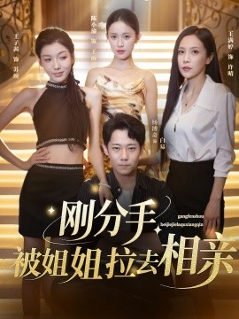 剛分手，被姐姐拉去相親(全集)