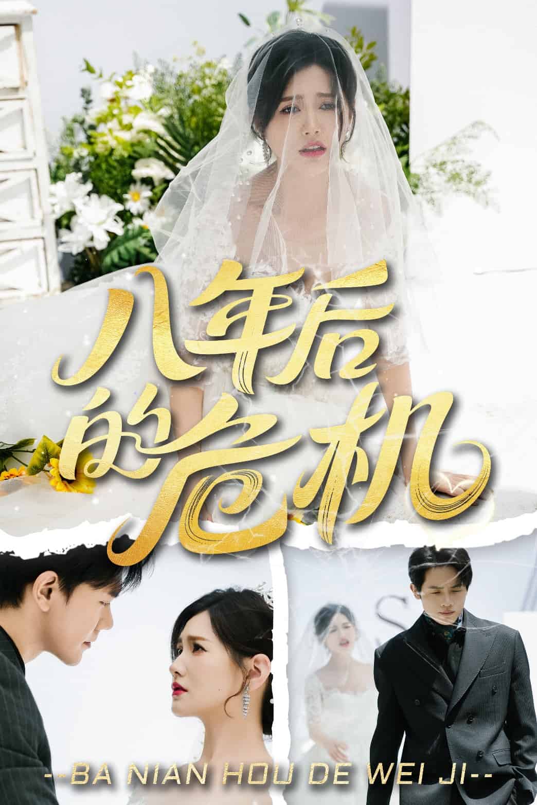 八年后的危機(jī)(全集)