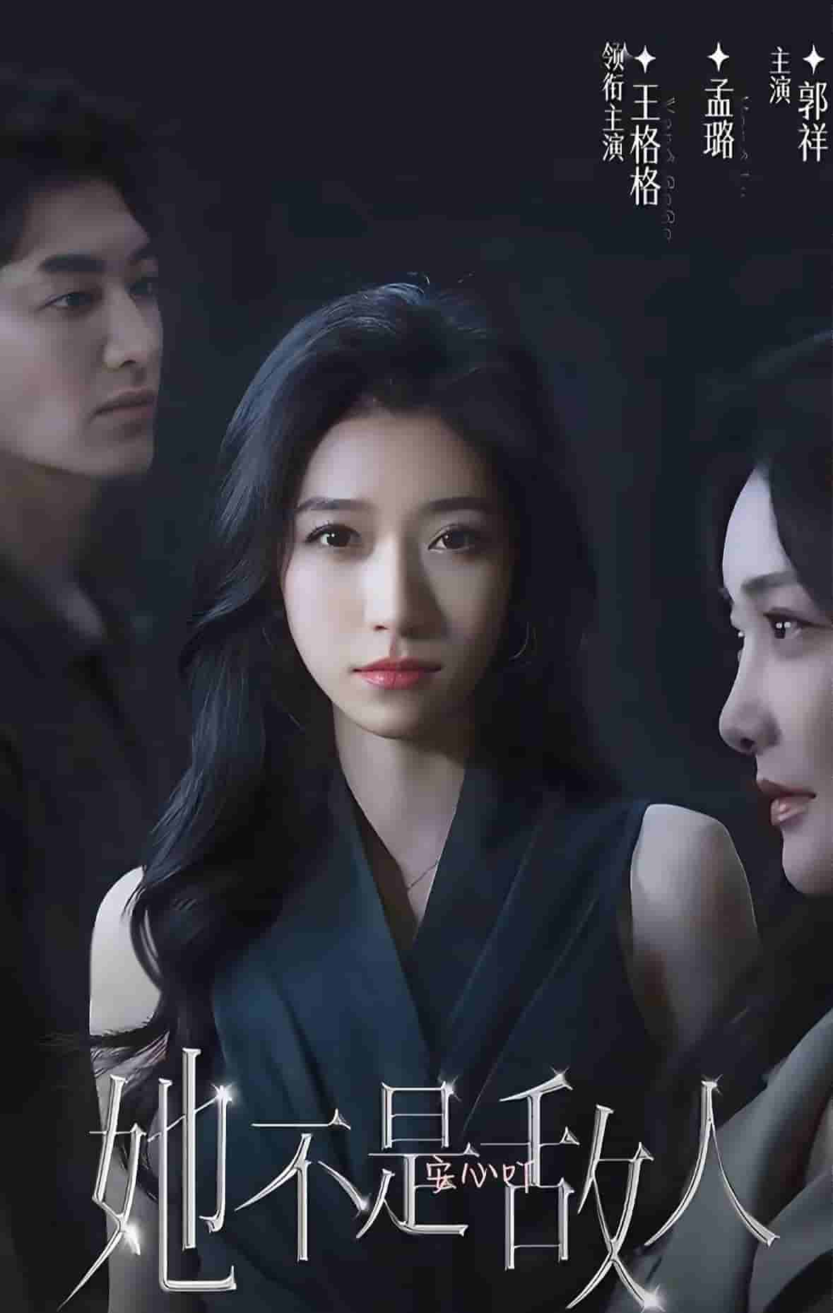 她不是敵人(全集)