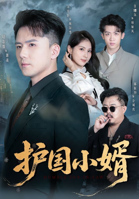 護(hù)國小婿(全集)