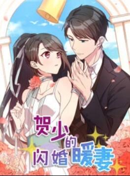 賀少的閃婚暖妻 動態(tài)漫第一季(全集)