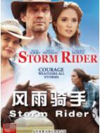 風(fēng)雨騎手