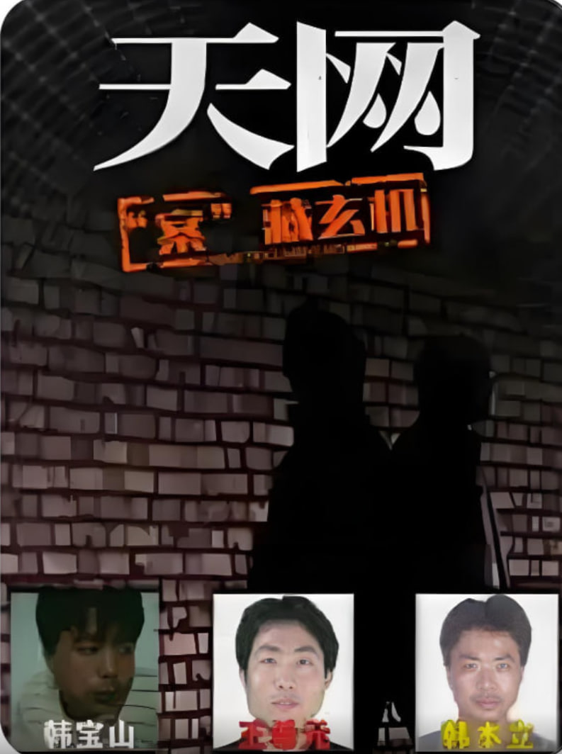 天網(wǎng)：“案”藏玄機