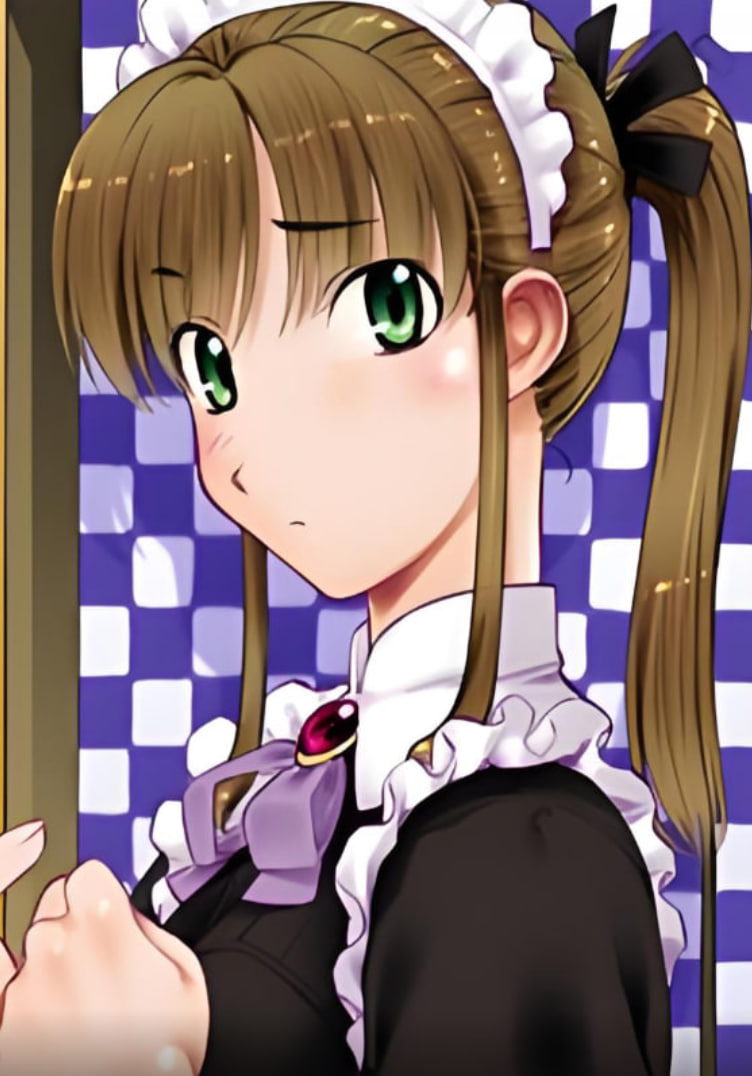 女仆調(diào)教計(jì)劃