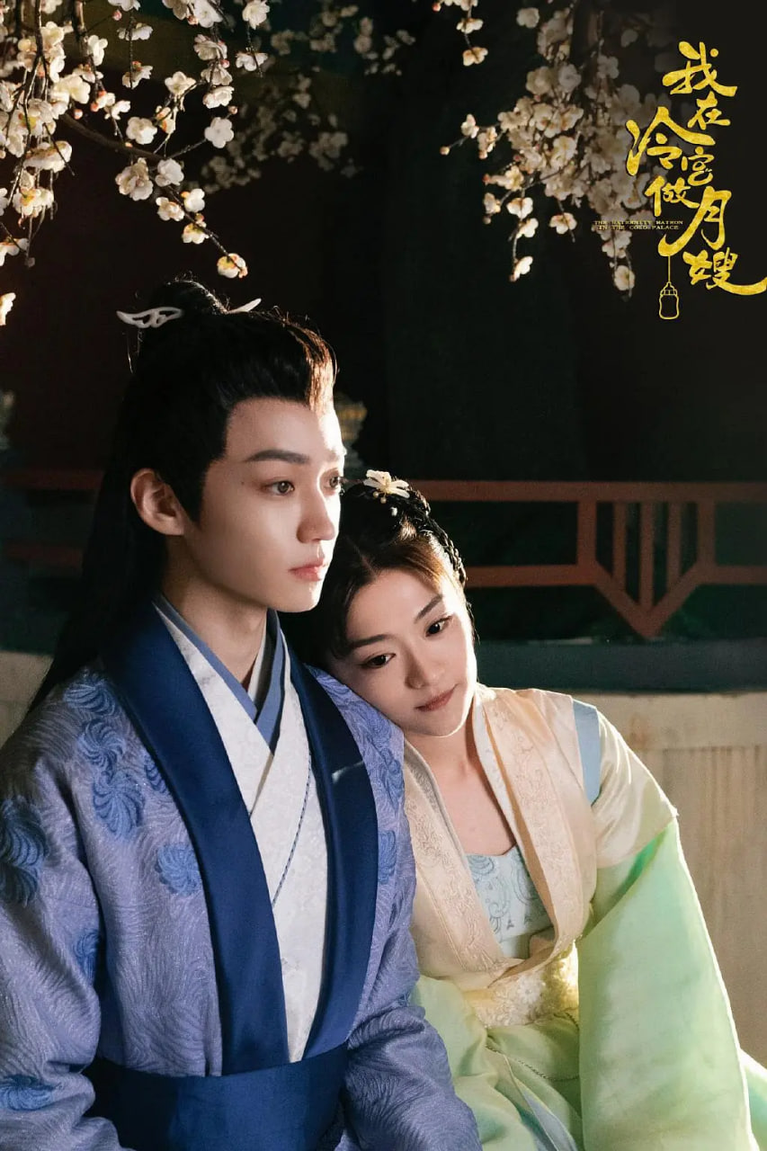 我在冷宮做月嫂(全集)