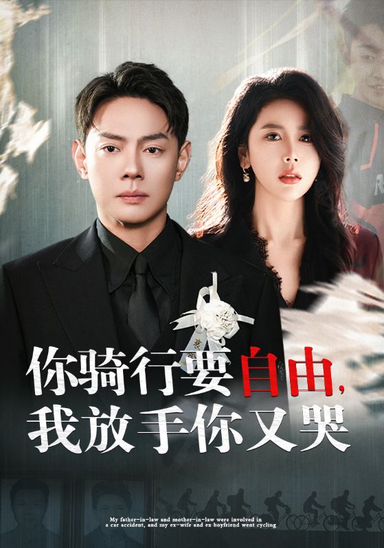 你騎行要自由我放手你又哭(全集)